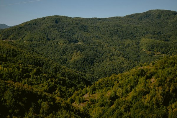 La Distribution des Ressources Économiques Parmi les Différentes Classes Sociales